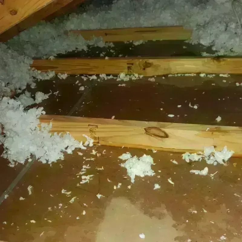 Attic Water Damage in Aurora, CO